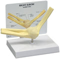Basic Elbow Model T3526