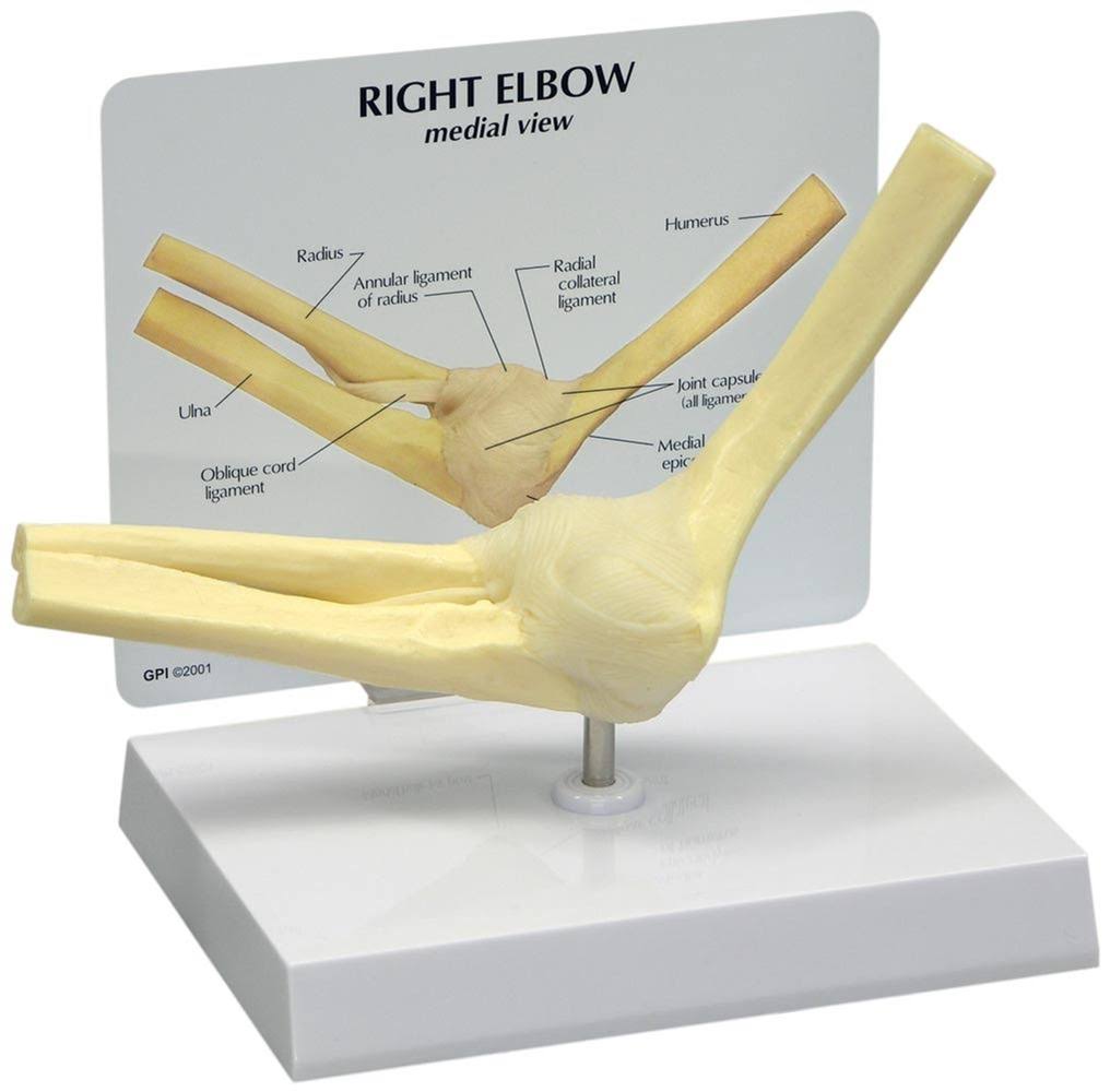 Basic Elbow Model T3526