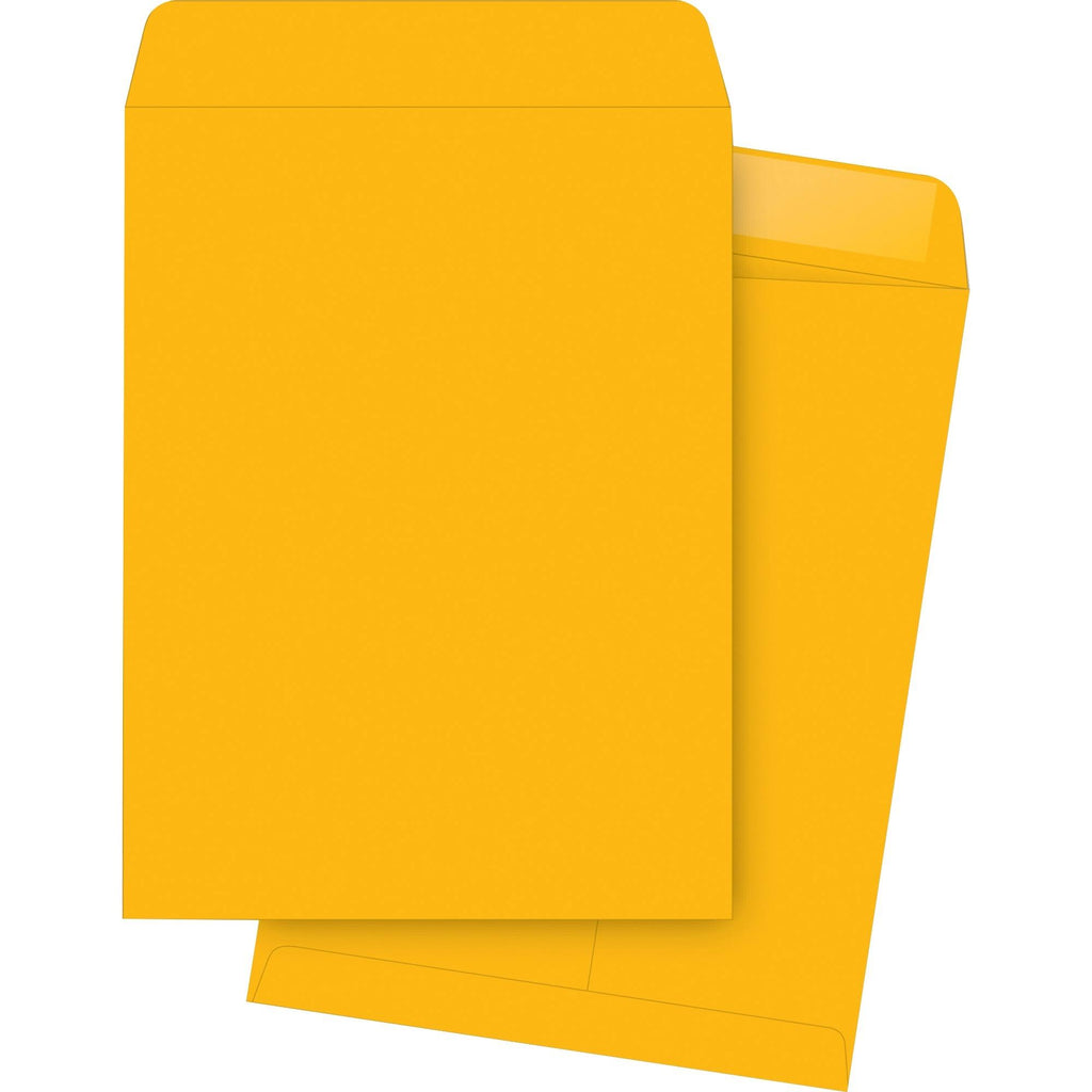 Kraft Gummed Catalog Envelopes A42866