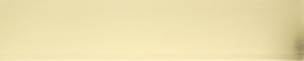 Polished Brass 6x22 x 30x22 Kick Plate Magnetic Mount Y65075