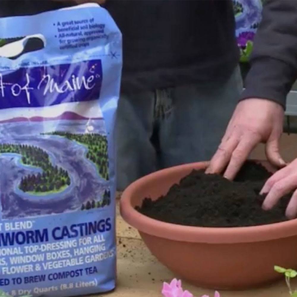 8 Quart Bag (6 Pack) Potting Soil N59797