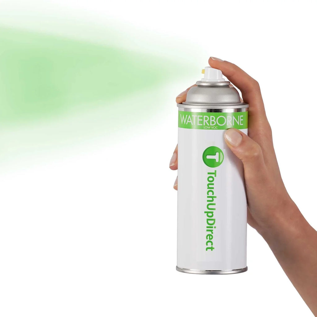 Touch Up Paint Aerosol P580