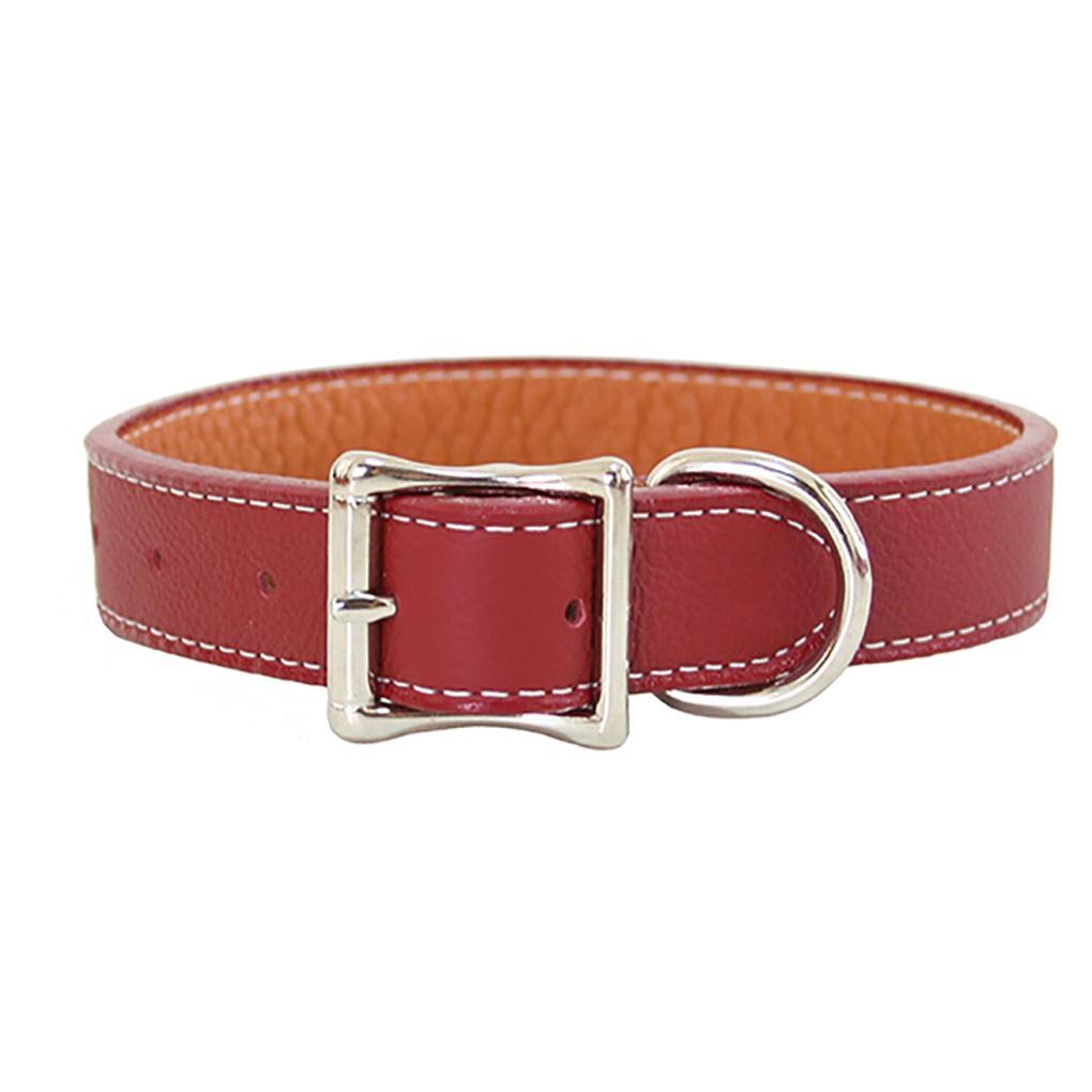 Red 26 Dog Collar F570244