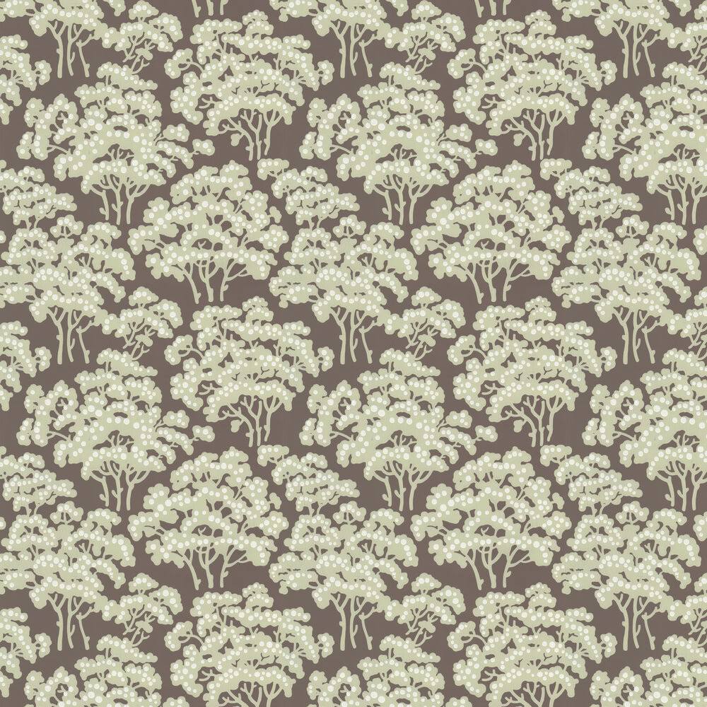 Hornbeam Wallpaper J35898