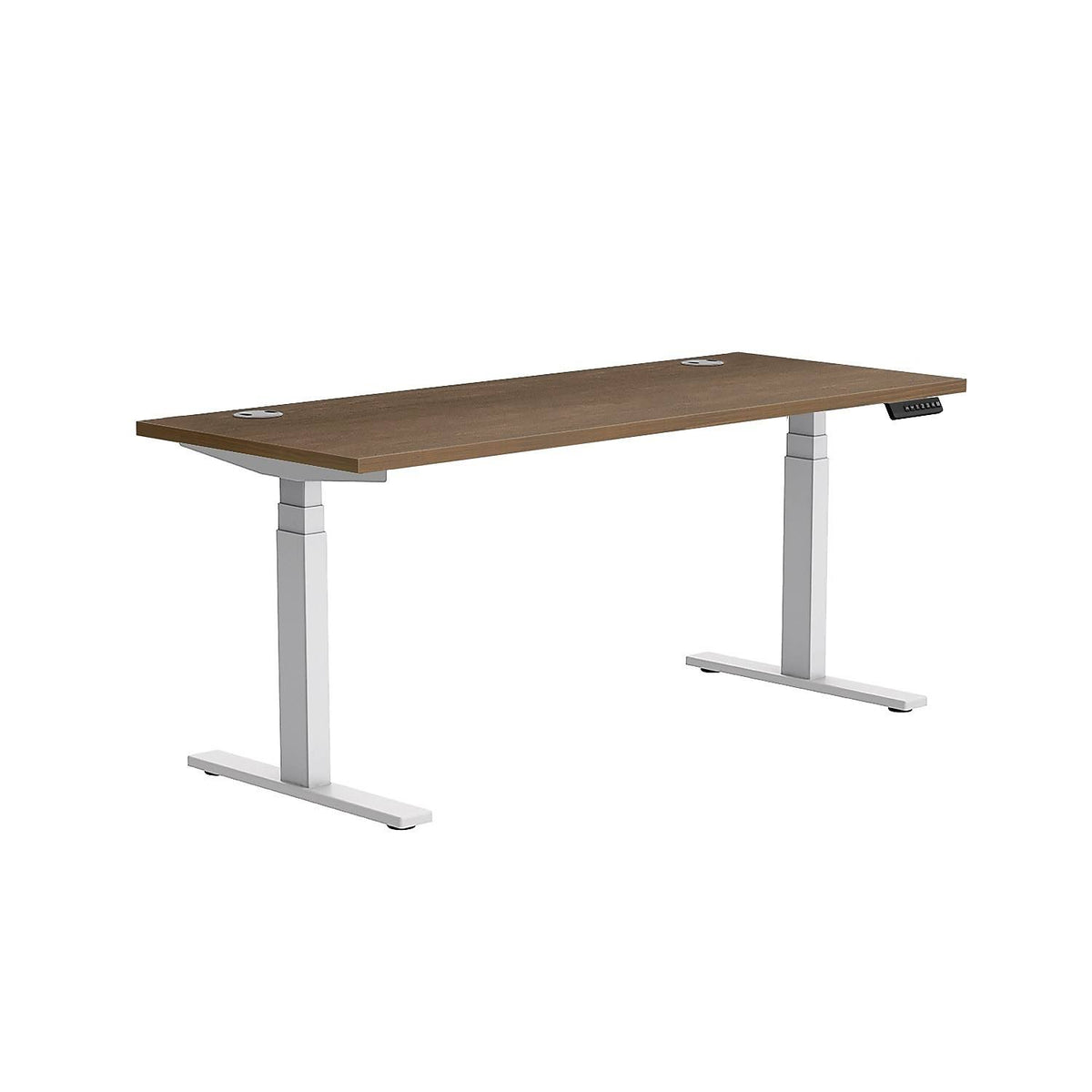 24x60 Height Adjustable Table D3693