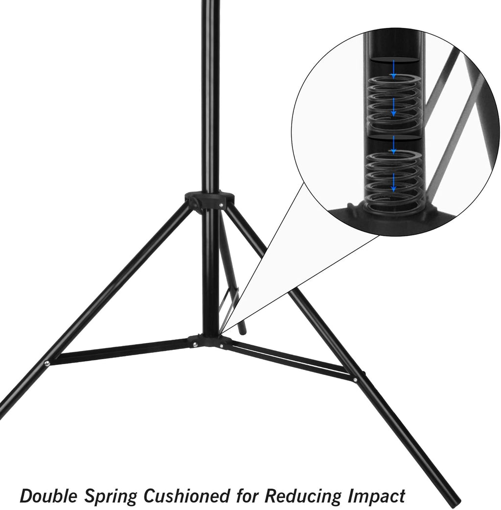 10 x 10 ft Heavy Duty Adjustable Backdrop Support System Kit with Carry Bag N393
