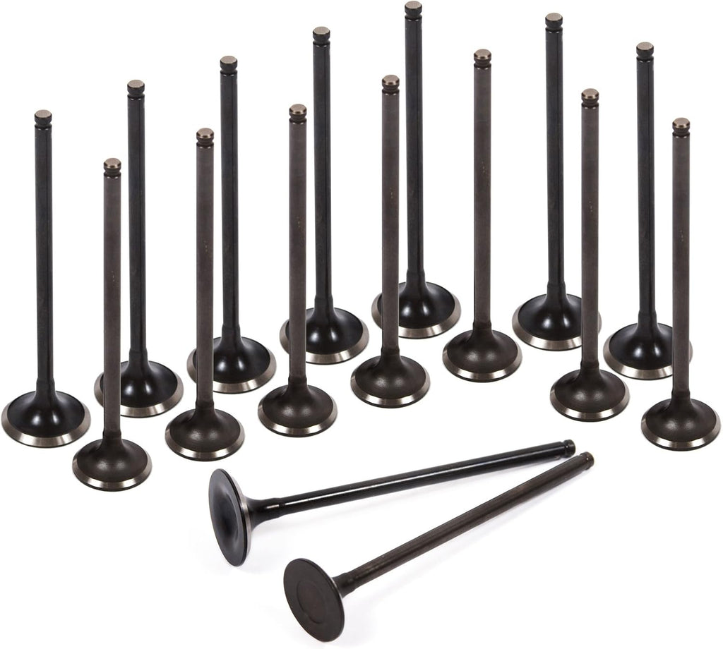 Head Gasket Set Head Bolts Intake Exhaust Valves for 92-95 Honda Civic VTEC 1.6 SOHC D16Z6 R61604