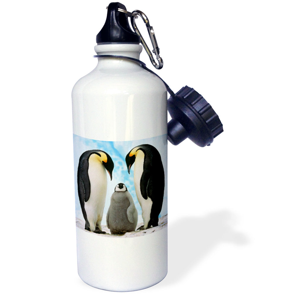 21 oz Sports Water Bottle Q3620
