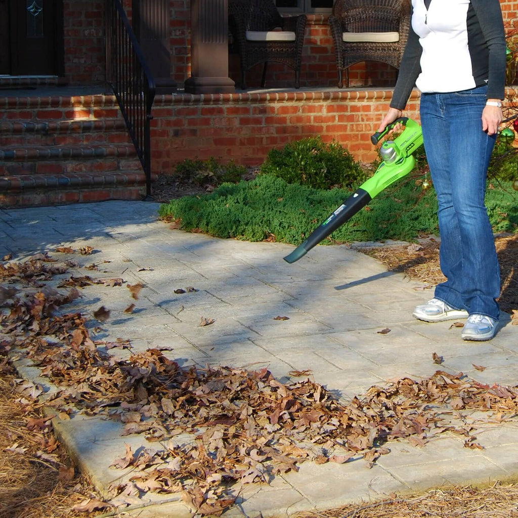24V Cordless Handheld Leaf Blower with 2.0 Ah Battery and Charger X956035