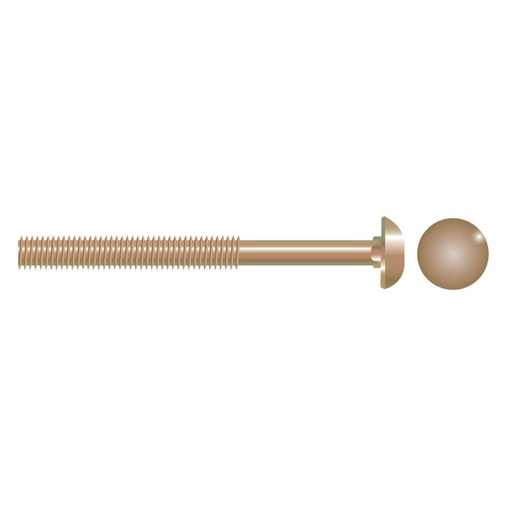1/4-20 X3 Carriage Bolt 655 Silicon Bronze X305860