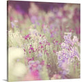 Canvas Photographic Print E32505