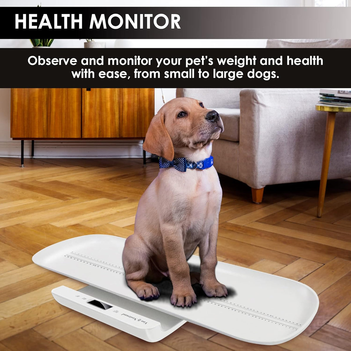 Small Pet Scale with Weighing Mode H577