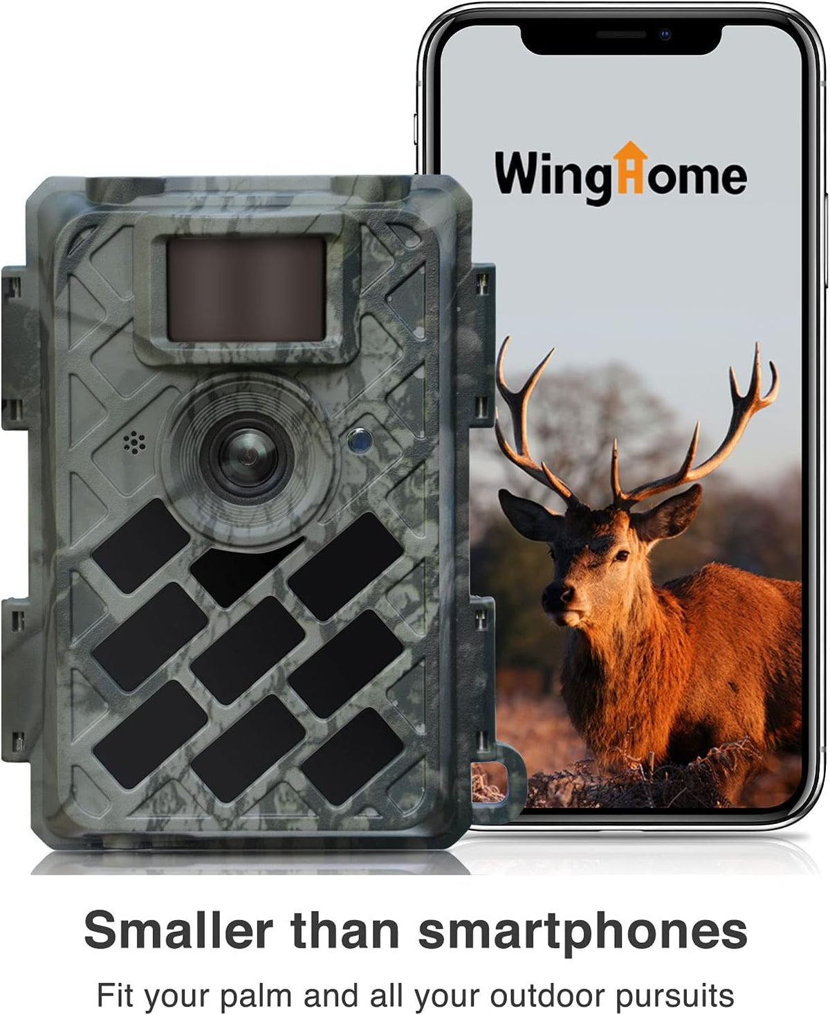 Trail Camera Pack of 2 with Night Vision O184994