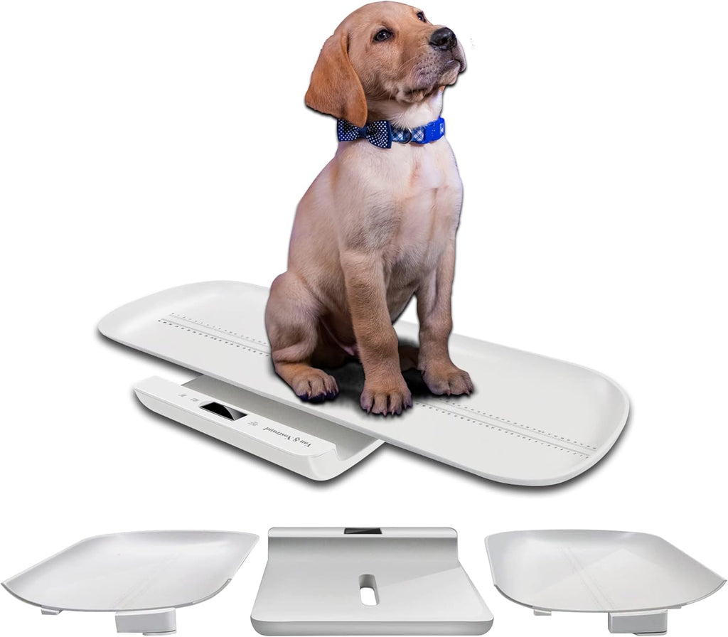 Small Pet Scale with Weighing Mode H577