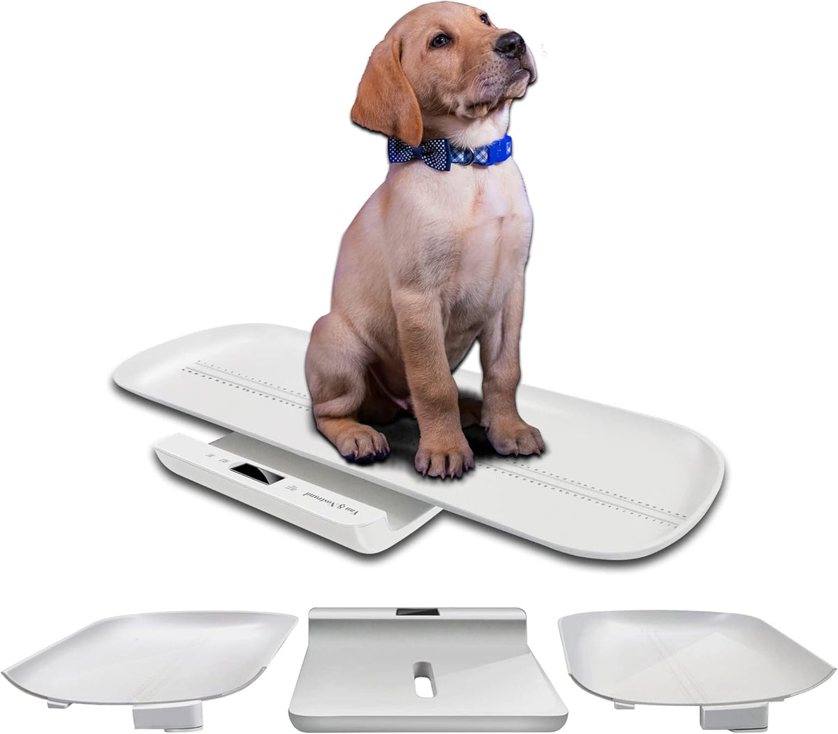 Small Pet Scale with Weighing Mode H577