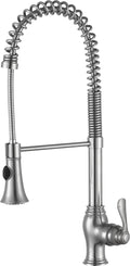 Brushed Nickel Single Handle Kitchen Faucet L15955