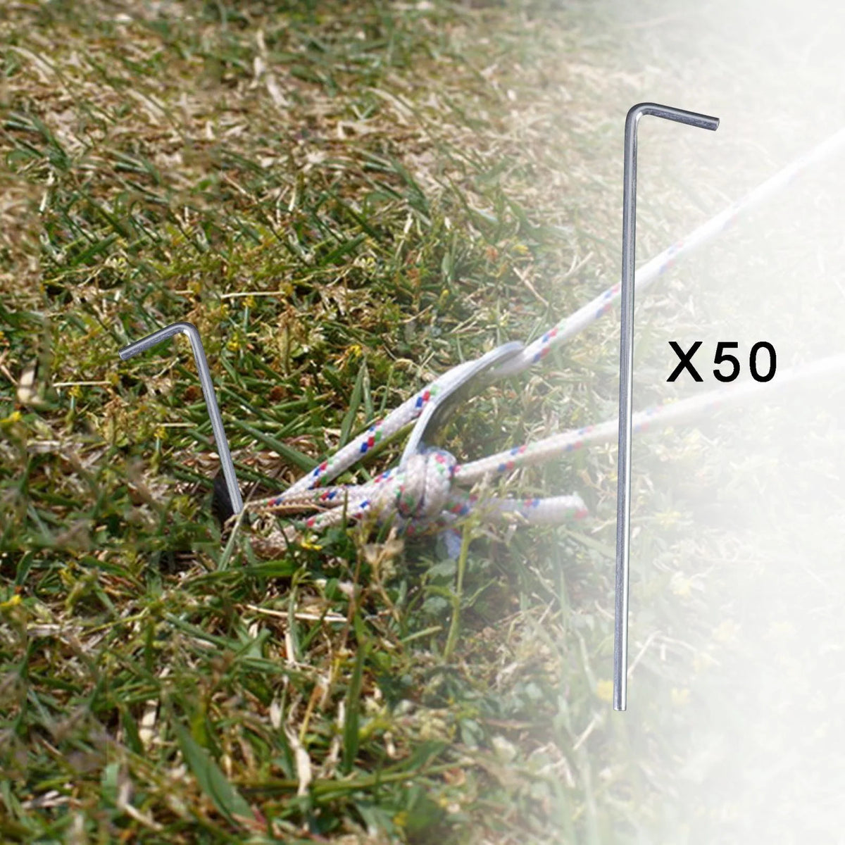 50 Pieces Aluminum Alloy Tent Stakes P796905