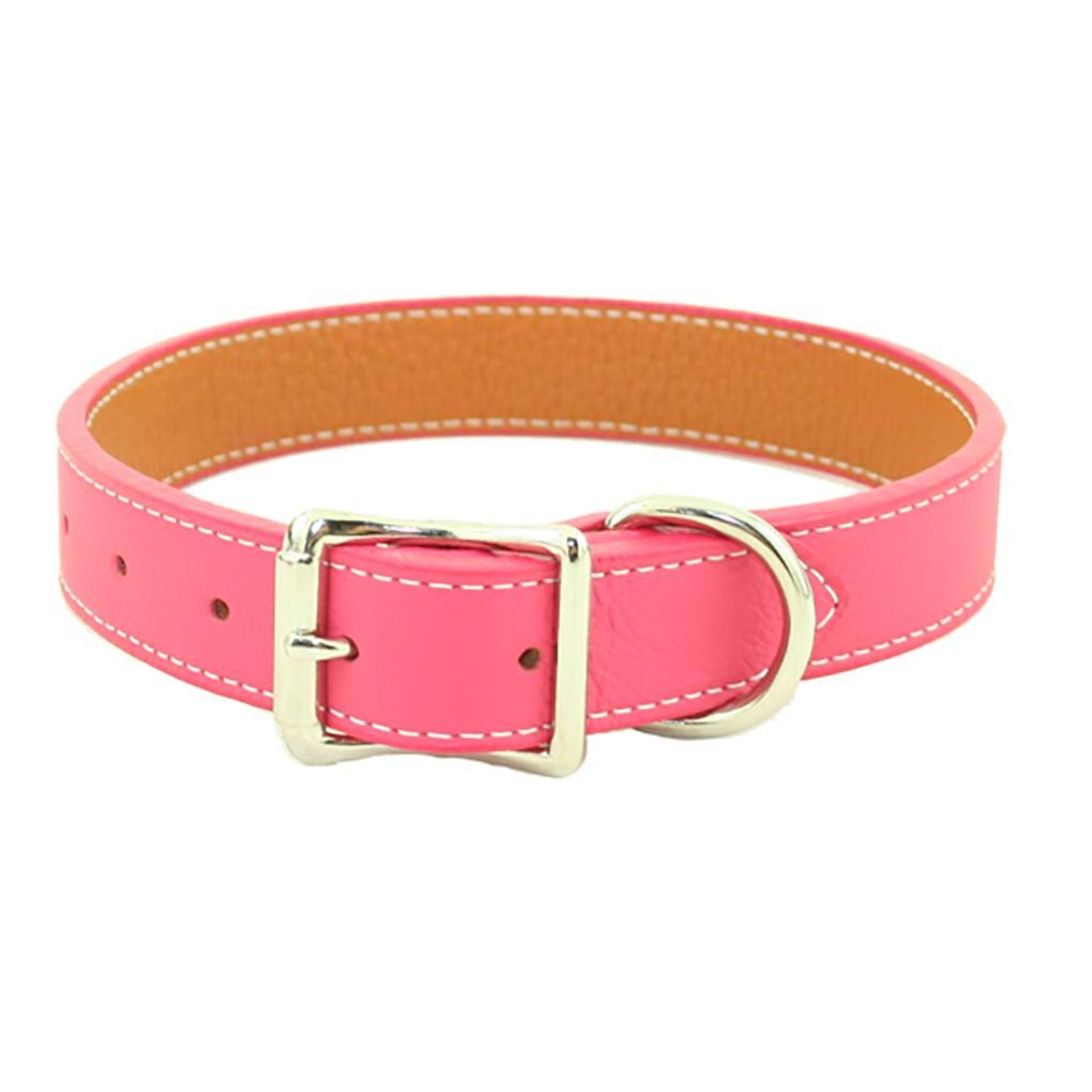Red 26 Dog Collar F570244