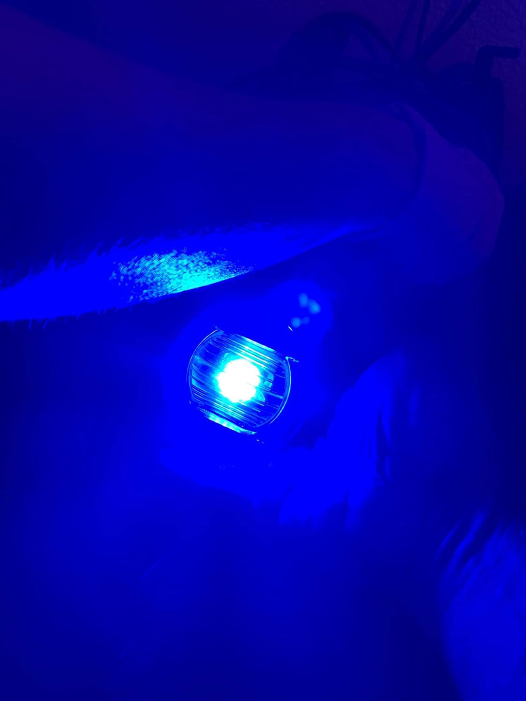 Caution Blue LED Flush Mount Light D52121