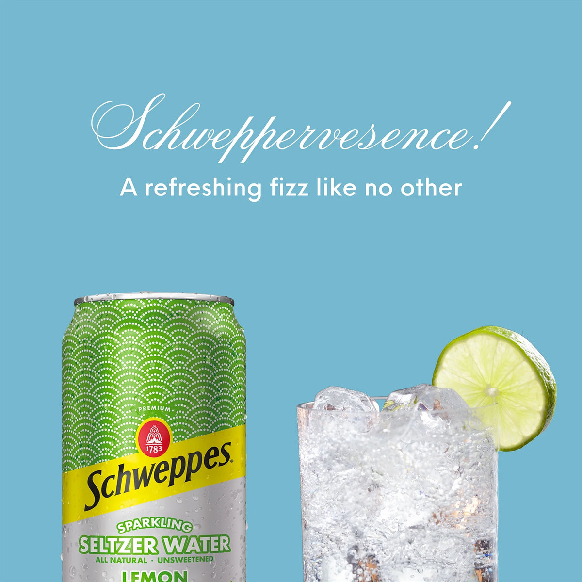 Lemon Lime Sparkling Water 24 Pack, 12 oz Cans Q642