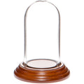 Mini Glass Display Dome Cloche with Walnut Veneer Base O5304