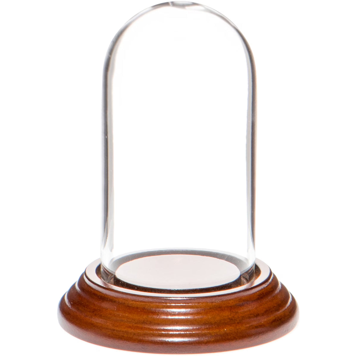 Mini Glass Display Dome Cloche with Walnut Veneer Base O5304