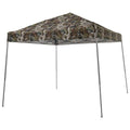 10' x 10' Slant Leg Canopy Q3489