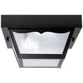 2 Light Black Outdoor Flush Mount C312202