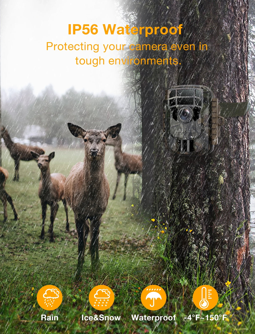 2 Pack 36MP 2K Waterproof Trail Camera with Night Vision F981221
