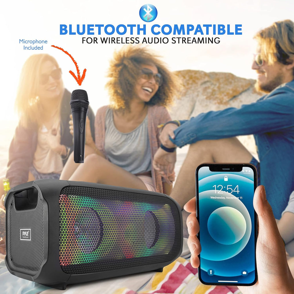 600W Rechargeable Portable Speaker with Microphone W627